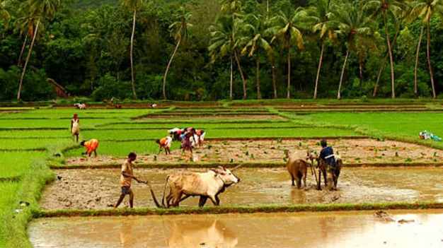 explore image
